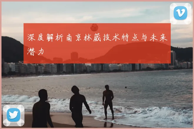 深度解析南京林葳技术特点与未来潜力