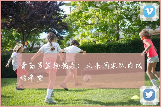 青岛男篮杨瀚森：未来国家队内线的希望