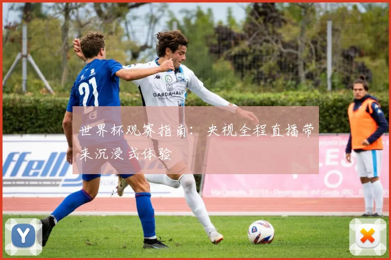 世界杯观赛指南:央视全程直播带来沉浸式体验