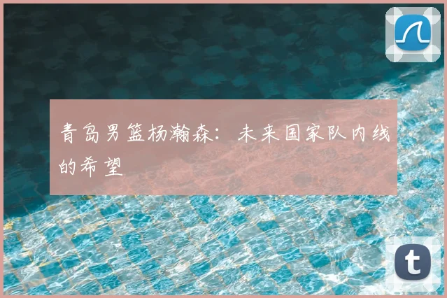 青岛男篮杨瀚森：未来国家队内线的希望